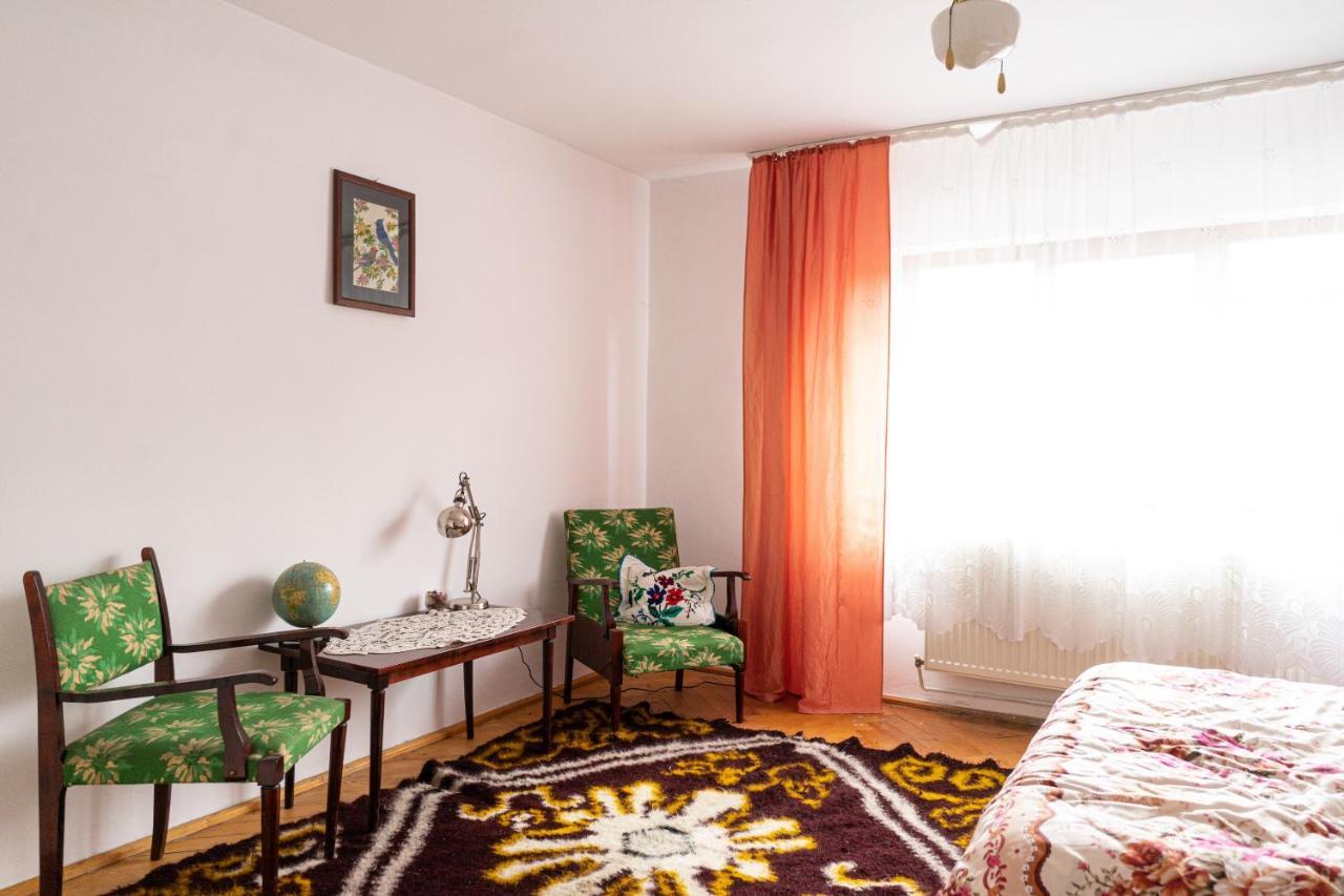 Generous Family Home Vişeu de Sus Eksteriør billede