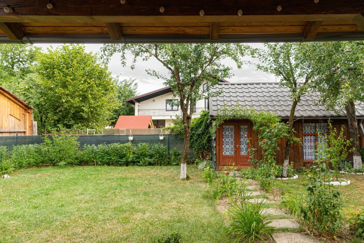 Generous Family Home Vişeu de Sus Eksteriør billede